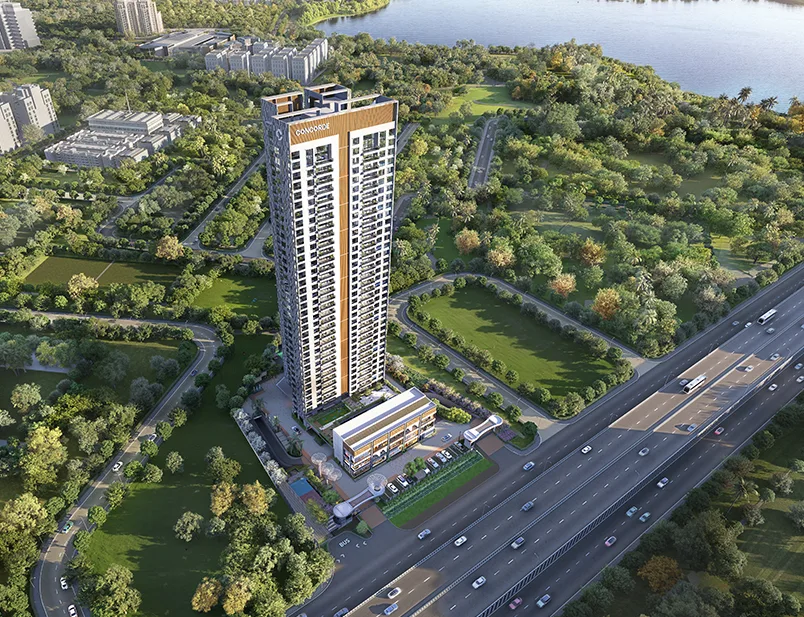 Concorde Eleve